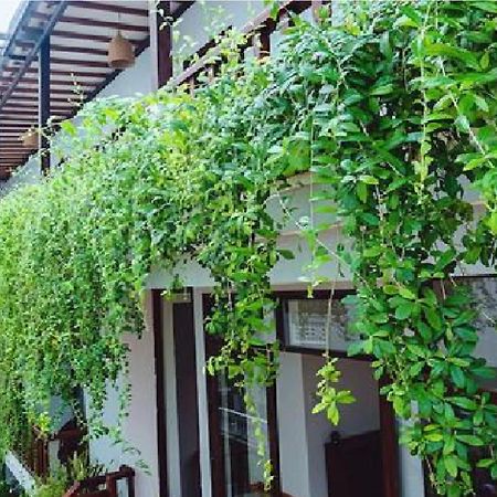 Riverside Plum Garden Villa Хоян Екстер'єр фото