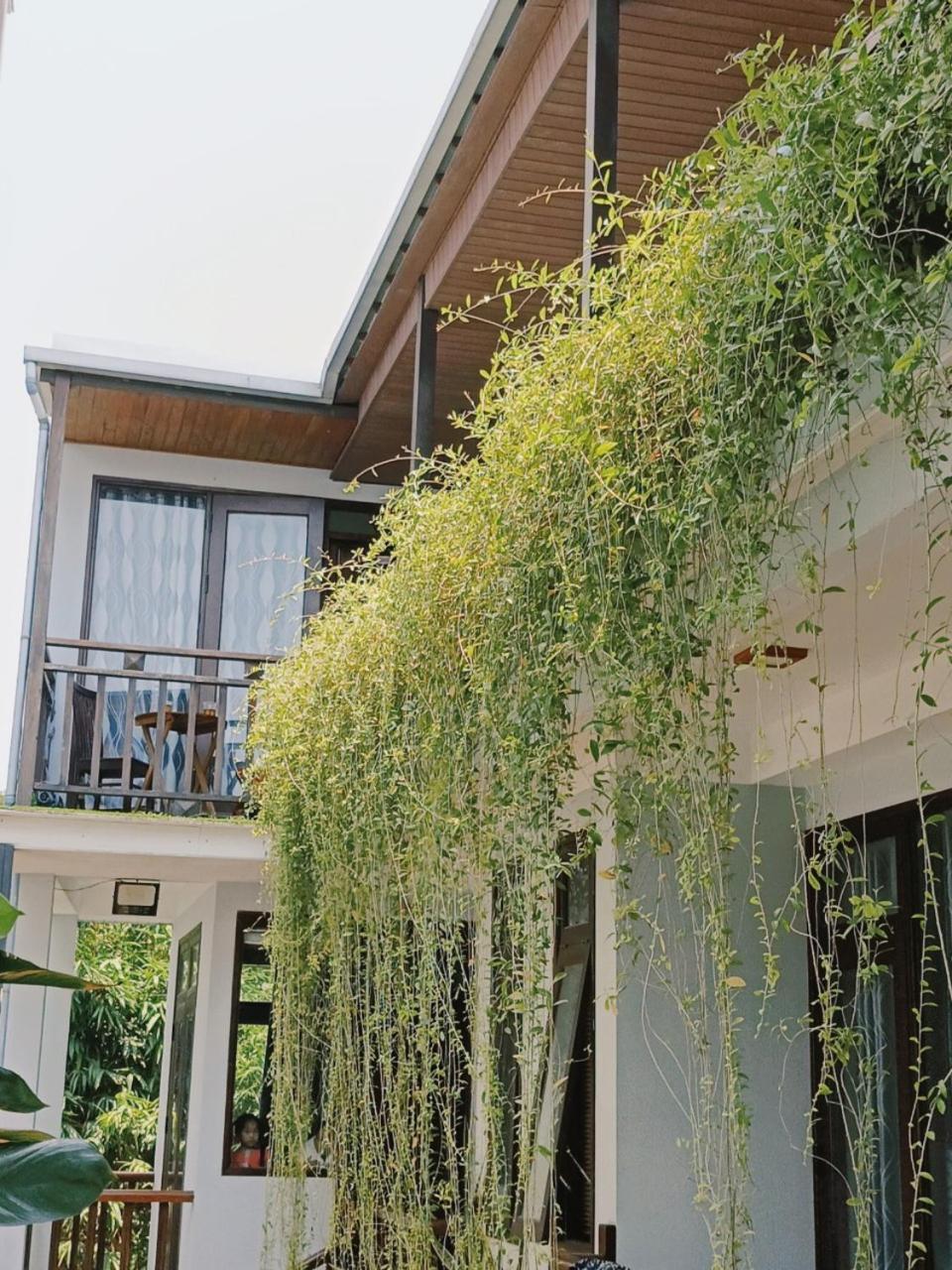 Riverside Plum Garden Villa Хоян Екстер'єр фото