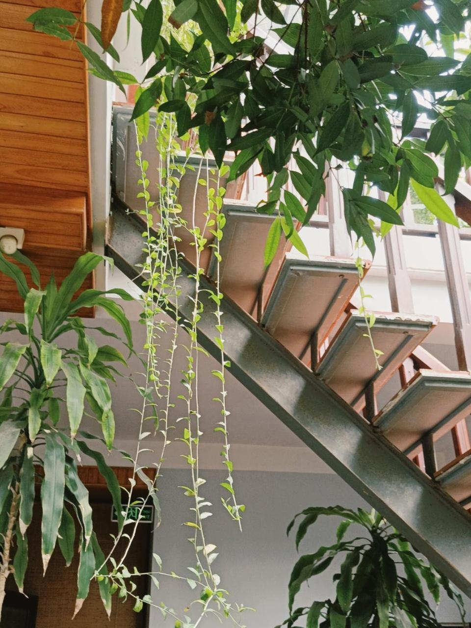 Riverside Plum Garden Villa Хоян Екстер'єр фото