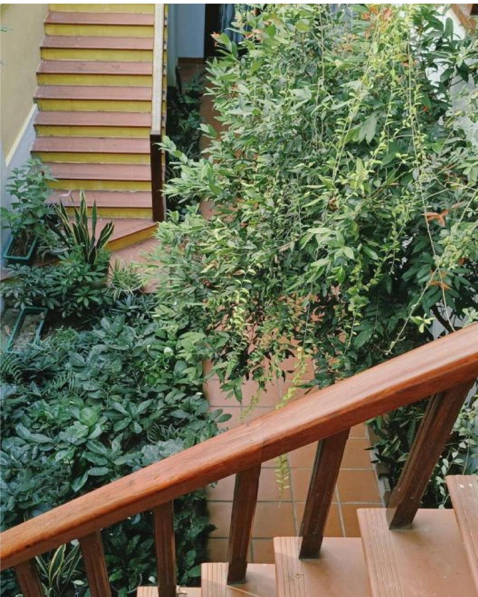 Riverside Plum Garden Villa Хоян Екстер'єр фото