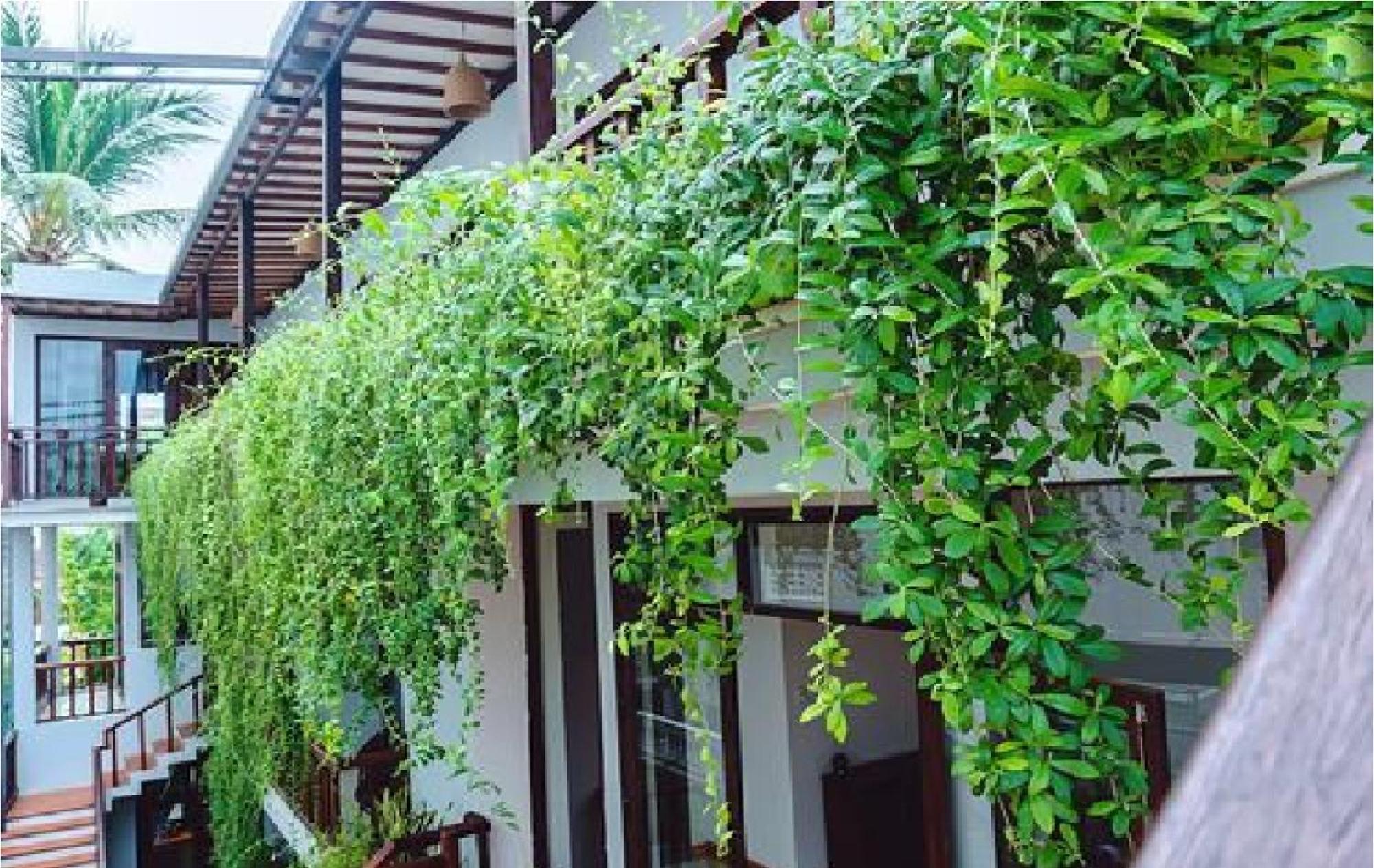 Riverside Plum Garden Villa Хоян Екстер'єр фото